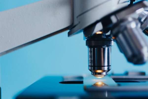 Selank Peptide: GABAergic Research and Anxiolytic Mechanism Studies | Lab of Peptides Research